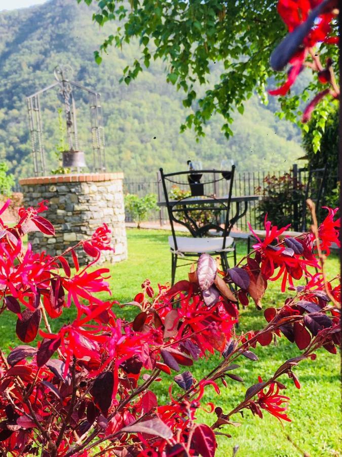 Green House Pieve di Teco Εξωτερικό φωτογραφία